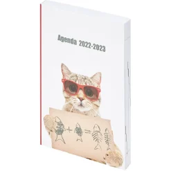 Agenda scolaire Basic Chat 2022 2023*Gifi Clearance