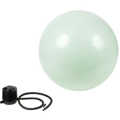 Gifi Ballon de fitness Ø65cm avec pompe manuelle