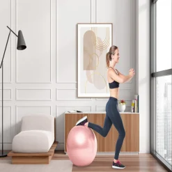 Gifi Ballon de fitness Ø65cm avec pompe manuelle