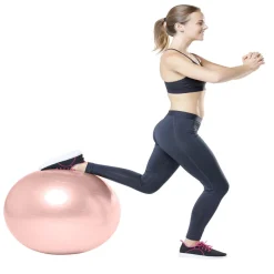 Gifi Ballon de fitness Ø65cm avec pompe manuelle