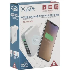 Batterie nomade et chargeur à induction*Gifi