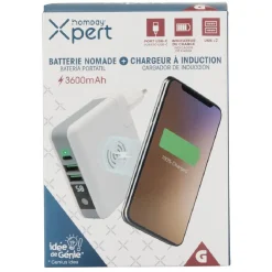Batterie nomade et chargeur à induction*Gifi