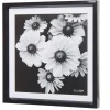 Gifi Cadre déco fleur lotus noir et blanc