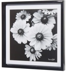 Gifi Cadre déco fleur lotus noir et blanc