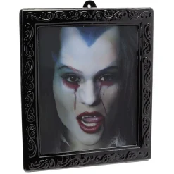 Cadre décoration vampire*Gifi Sale