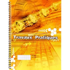 Gifi CAHIER DE TRAVAUX PRATIQUES