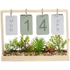 Gifi Calendrier perpétuel jardinière en bois