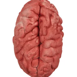 Cerveau Halloween*Gifi