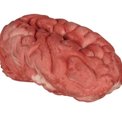 Cerveau Halloween*Gifi