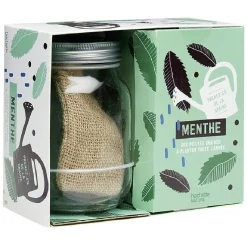 Gifi Coffret Des petites graines à planter toute l'année Menthe