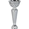Coupe vainqueur argent*Gifi Best