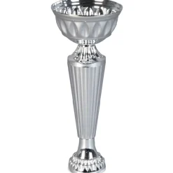 Coupe vainqueur argent*Gifi Best