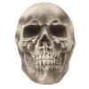 Crâne tête de mort Halloween*Gifi Best