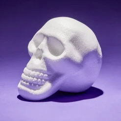 Gifi Décoration Halloween à personnaliser tête de mort ou citrouille - 2 modèles