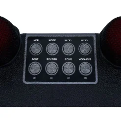 Enceinte karaoké 2 micros Homday Party - portée 10m autonomie 3h*Gifi Online