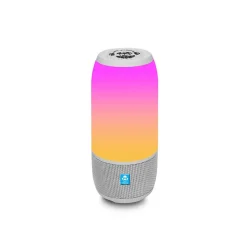 Enceinte portable Bluetooth iDance Blaster 20W*Gifi Hot
