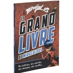 Gifi Grand livre Miraculous LadyBug histoire jeu charade recette 108 pages