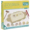 Gifi Jeux De Société Et Éducatifs<Jeu chercheur d'or - Kit de l'orpailleur