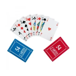 Gifi Jeux De Société Et Éducatifs<Jeu de 54 cartes plastifiées
