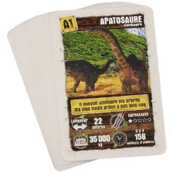 Gifi Jeux De Société Et Éducatifs<Jeu de 7 familles Les dinosaures Ducale 33 cartes