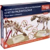 Gifi Jeux De Société Et Éducatifs<Jeu paléontologue - squelette T-rex et Stégososaure à reconstituer