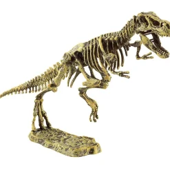Gifi Kit dinosaure + outils d'excavation