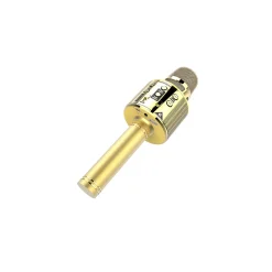 Micro karaoké avec LED multicolores 3 fonctions VOIX*Gifi Best