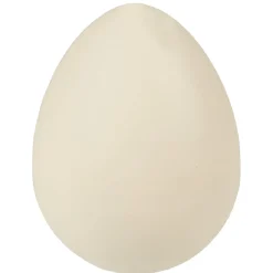 oeuf magique dino*Gifi Clearance