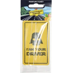 Gifi Parfum d'ambiance pour voiture senteur forêt