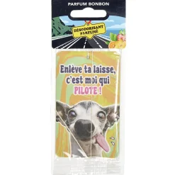 Gifi Parfum d'ambiance pour voiture senteur bonbon