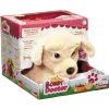 Gifi Eveil<Peluche chien docteur Bobby