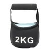 Gifi Poids kettlebell 2kg textile