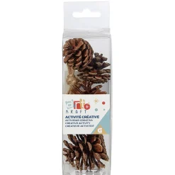 Gifi Jeux Créatifs<Pomme de pin naturelle pour couronne x4