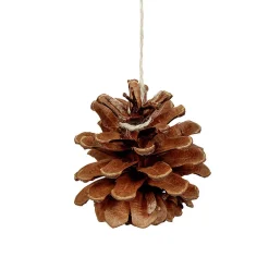Gifi Jeux Créatifs<Pomme de pin naturelle pour couronne x4