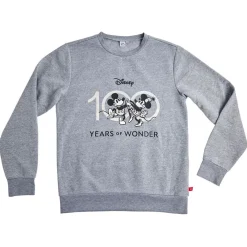 Online Gifi Pull Disney 100 ans de merveilles - Taille L