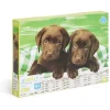 Gifi Jeux De Société Et Éducatifs<Puzzle enfant 300 pièces chiots