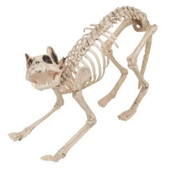 Squelette chat Halloween*Gifi Hot