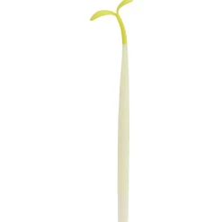 Stylo pousse haricot H16 cm*Gifi Best