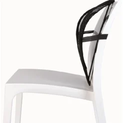 Gifi Support lombaire universel
