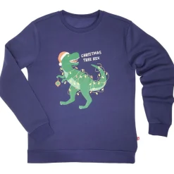 Sale Gifi Sweat de Noël homme Christmas Tree Rex bleu et vert