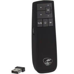Télécommande de présentation pointeur sans fil*Gifi