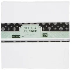 Gifi Toile à peindre x3